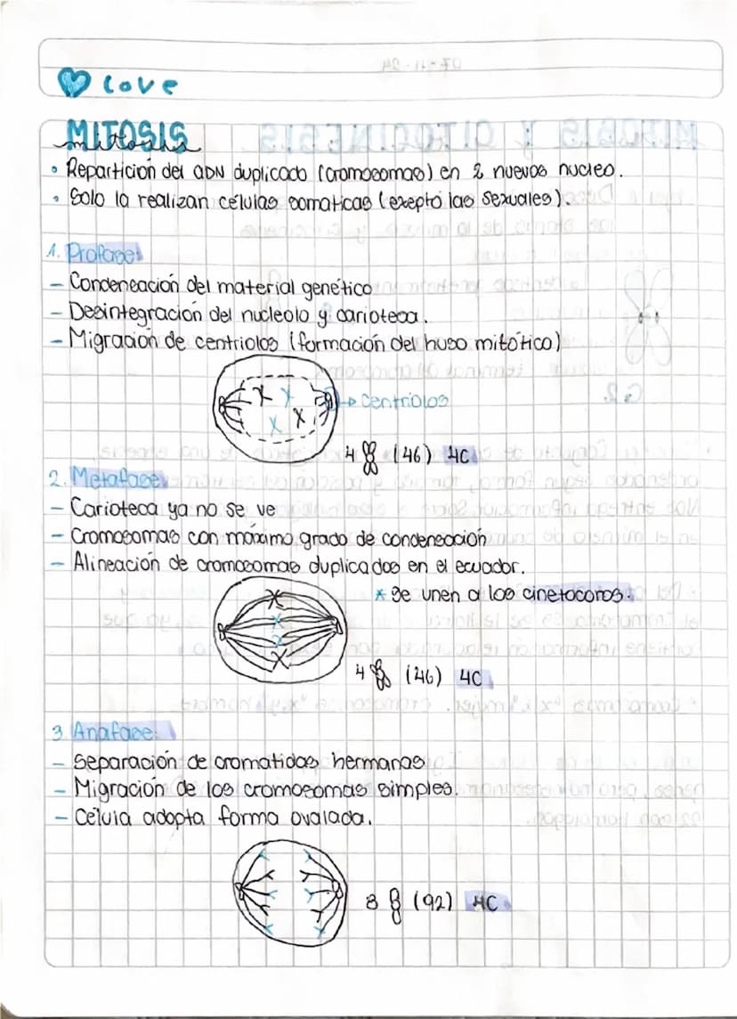 4-11-24
Leander
у
U
A
•
Objetivo: Comprender las funciones de la division mitotica
CICL
en 100 organismos pluricelulares.
CICLO CELULAR (200