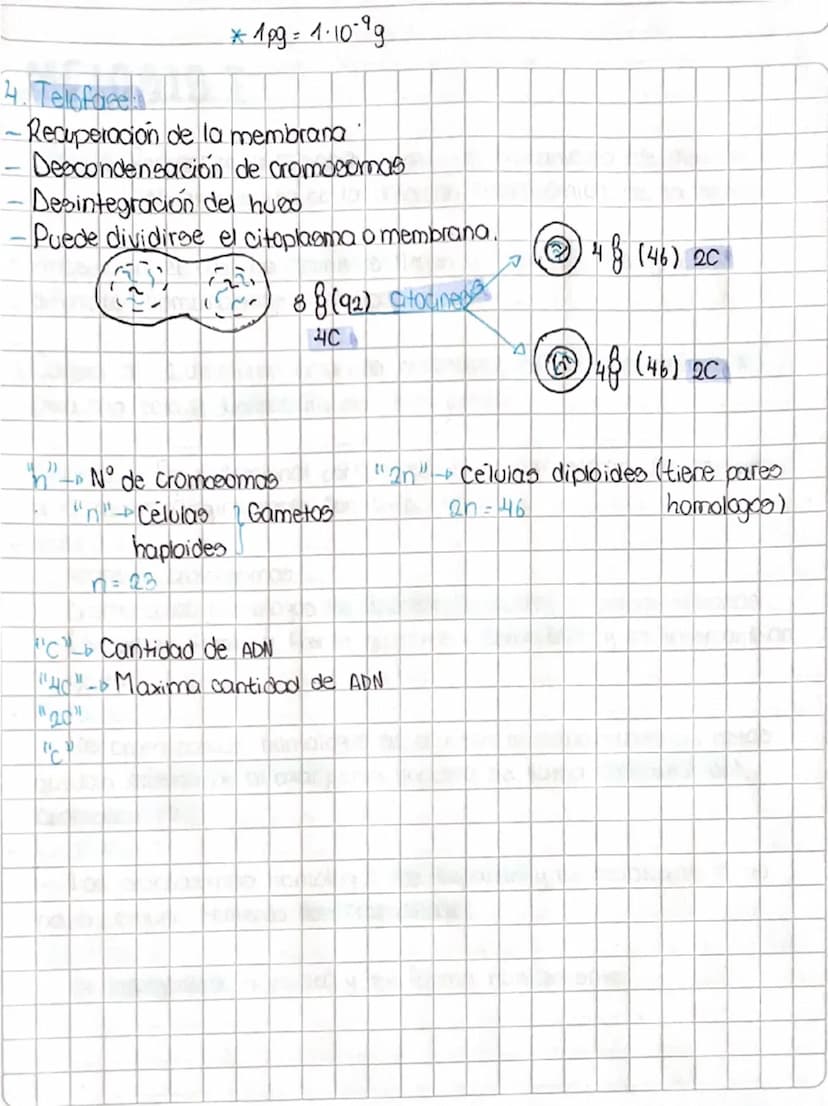 4-11-24
Leander
у
U
A
•
Objetivo: Comprender las funciones de la division mitotica
CICL
en 100 organismos pluricelulares.
CICLO CELULAR (200