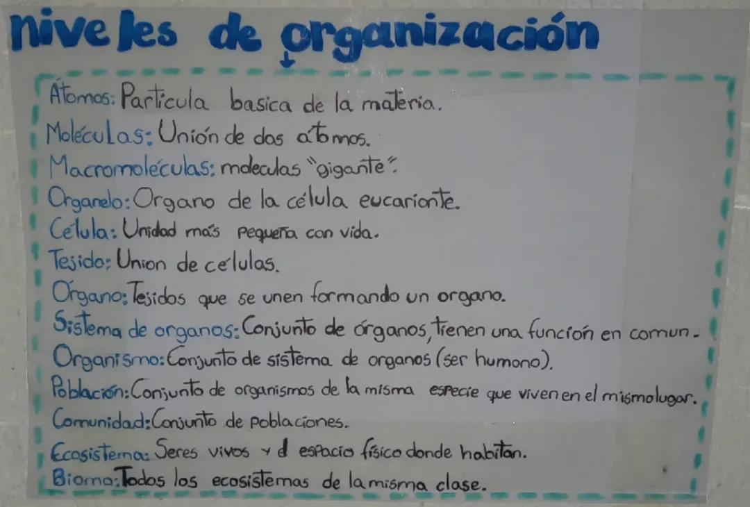 Explorando los Niveles de Organización Biológica