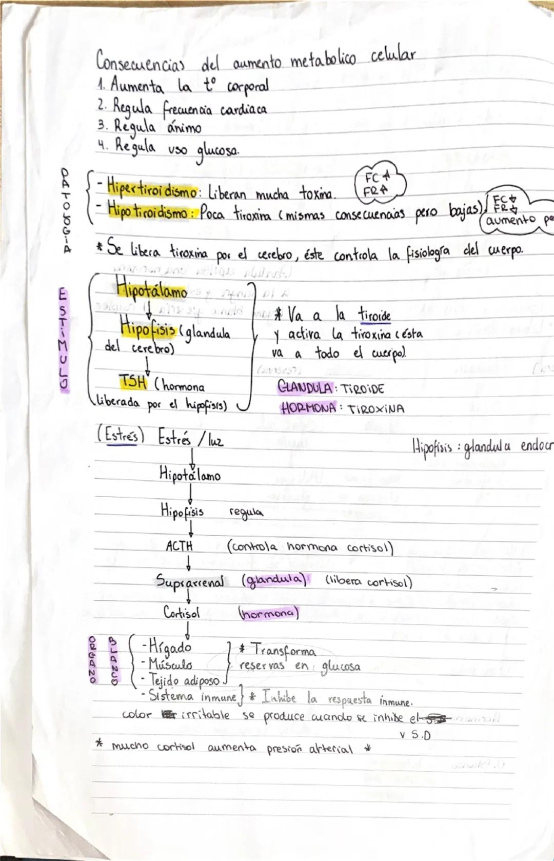 # Comunicación endocrina

• Glándula: conjunto de células que libera hormonas a la sangre
* Para cada célula hay un receptor: (proteína 99%)