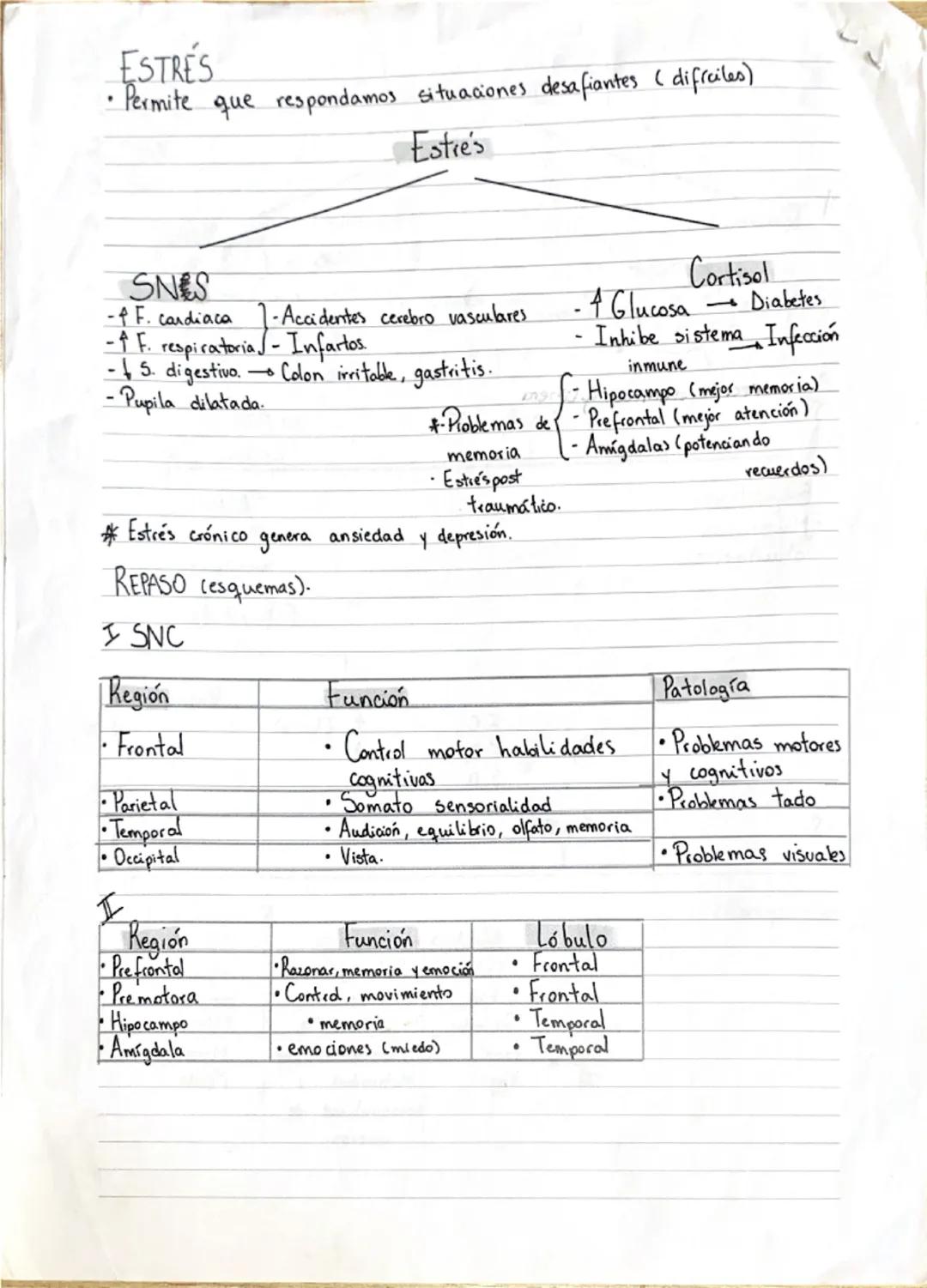 # Comunicación endocrina

• Glándula: conjunto de células que libera hormonas a la sangre
* Para cada célula hay un receptor: (proteína 99%)