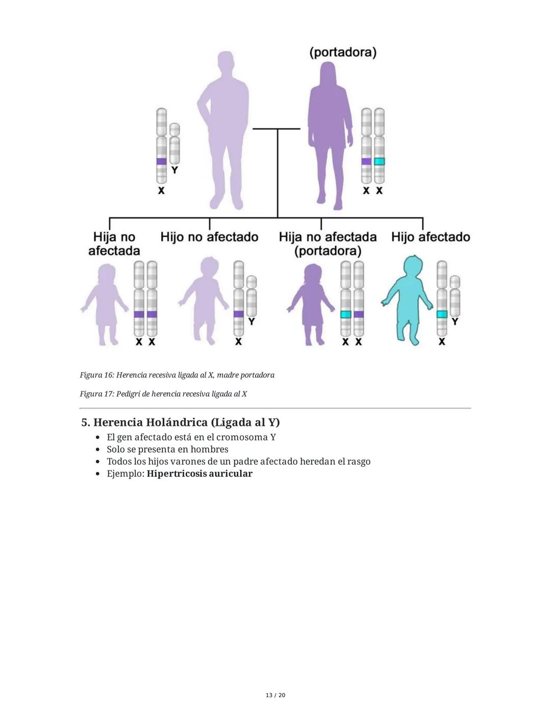 Teoría de la Herencia II - Resumen
1. Introducción y Objetivos
El objetivo principal es identificar patrones de herencia ligados al sexo y o