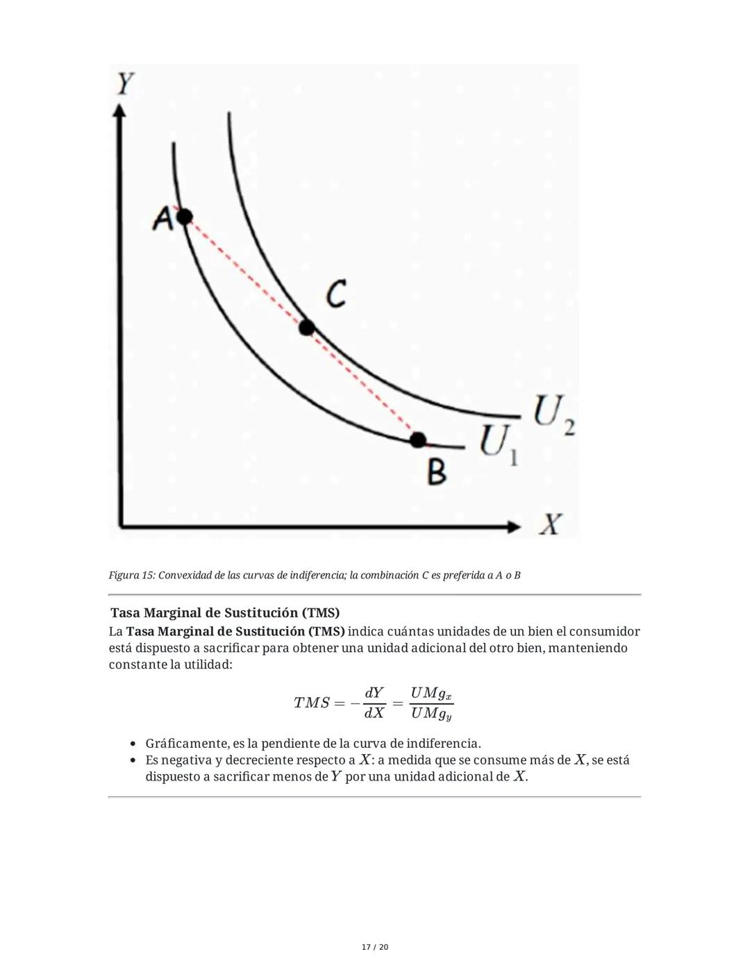 Teoría del Consumidor - Resumen
1. Introducción a la Teoría del Consumidor
La Teoría del Consumidor es una rama fundamental de la microecono