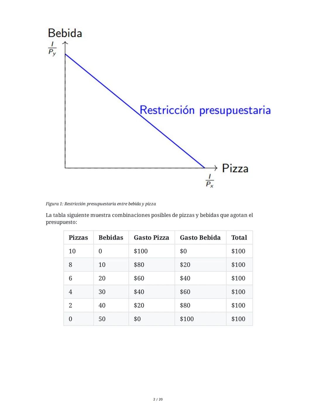 Teoría del Consumidor - Resumen
1. Introducción a la Teoría del Consumidor
La Teoría del Consumidor es una rama fundamental de la microecono