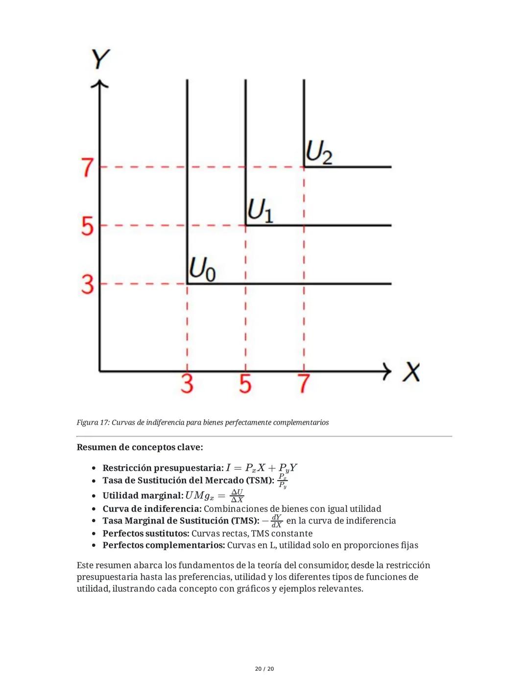 Teoría del Consumidor - Resumen
1. Introducción a la Teoría del Consumidor
La Teoría del Consumidor es una rama fundamental de la microecono