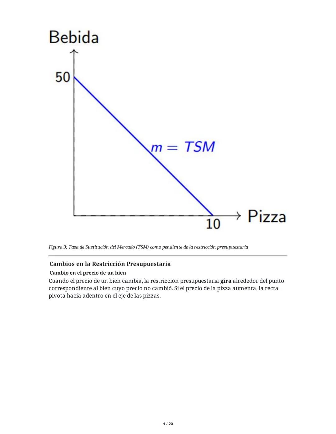 Teoría del Consumidor - Resumen
1. Introducción a la Teoría del Consumidor
La Teoría del Consumidor es una rama fundamental de la microecono