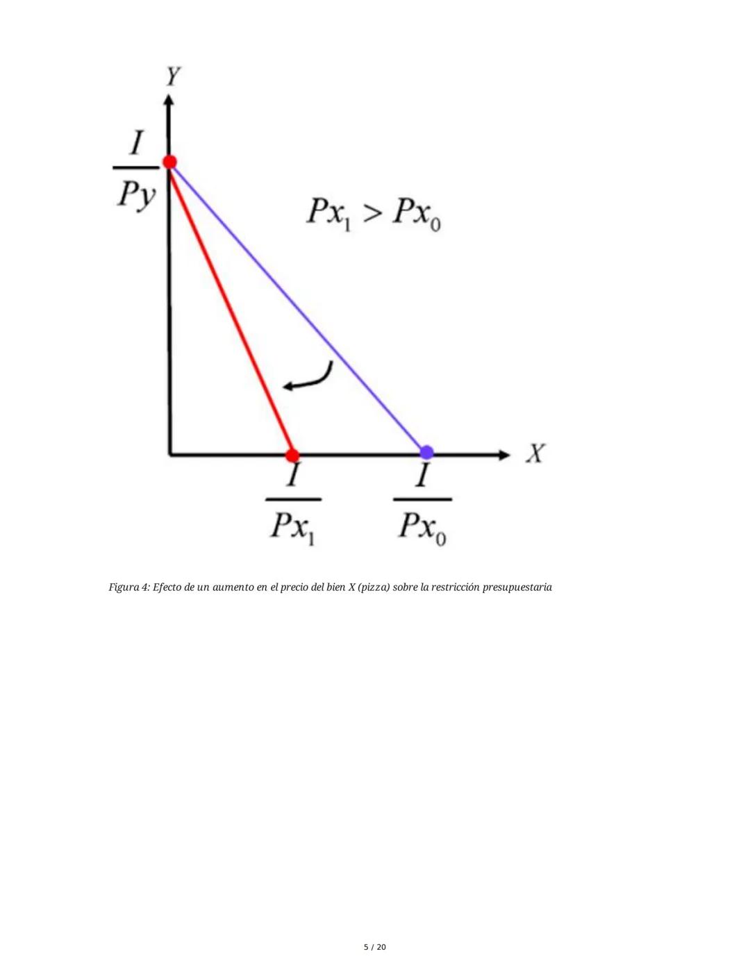 Teoría del Consumidor - Resumen
1. Introducción a la Teoría del Consumidor
La Teoría del Consumidor es una rama fundamental de la microecono
