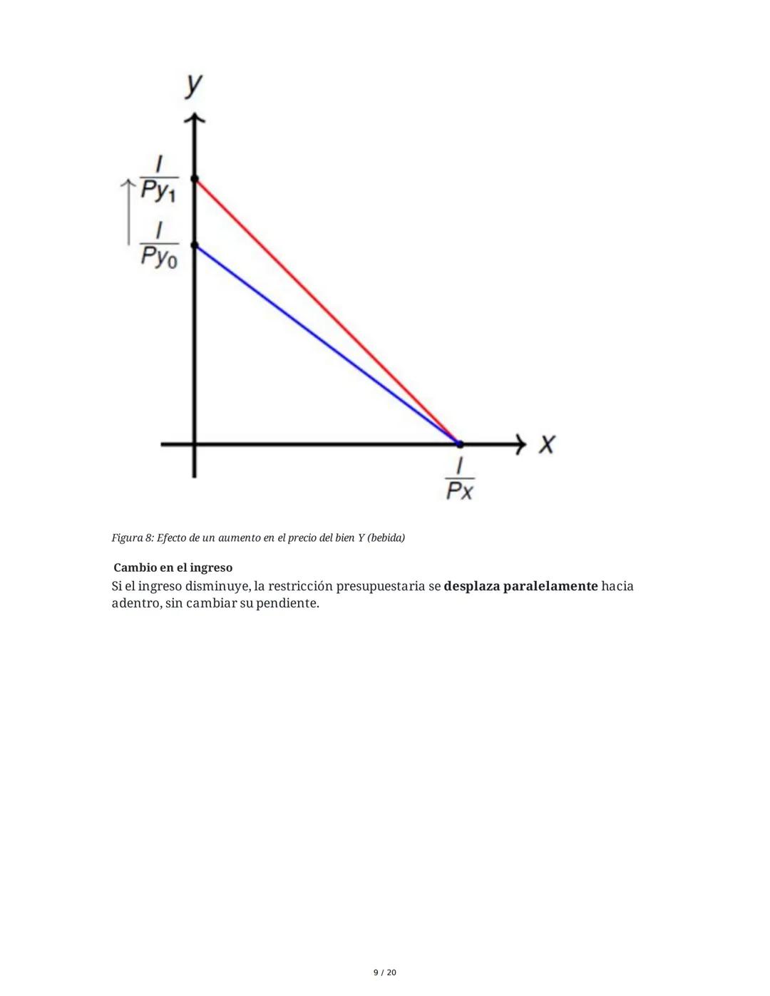Teoría del Consumidor - Resumen
1. Introducción a la Teoría del Consumidor
La Teoría del Consumidor es una rama fundamental de la microecono