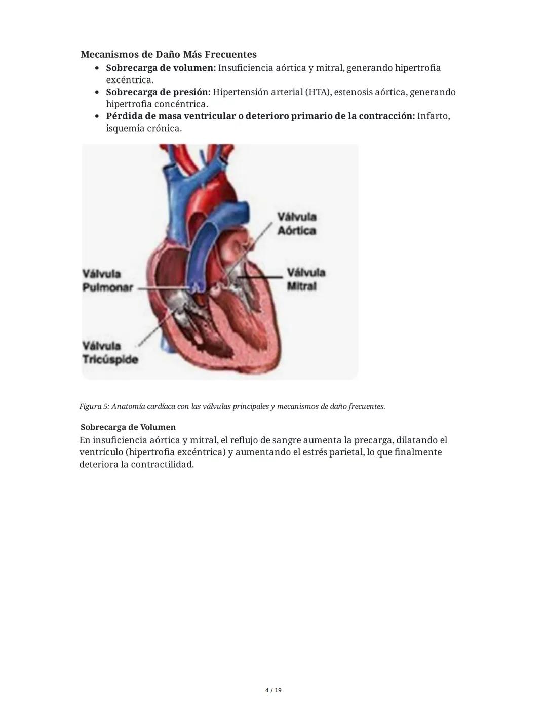 # Insuficiencia Cardiaca

## 1. Introducción y Definición

La insuficiencia cardiaca (IC) es un síndrome clínico complejo y una de las princ