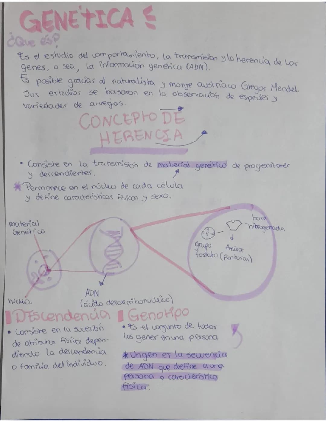 Genética, concepto de herencia y descendencia