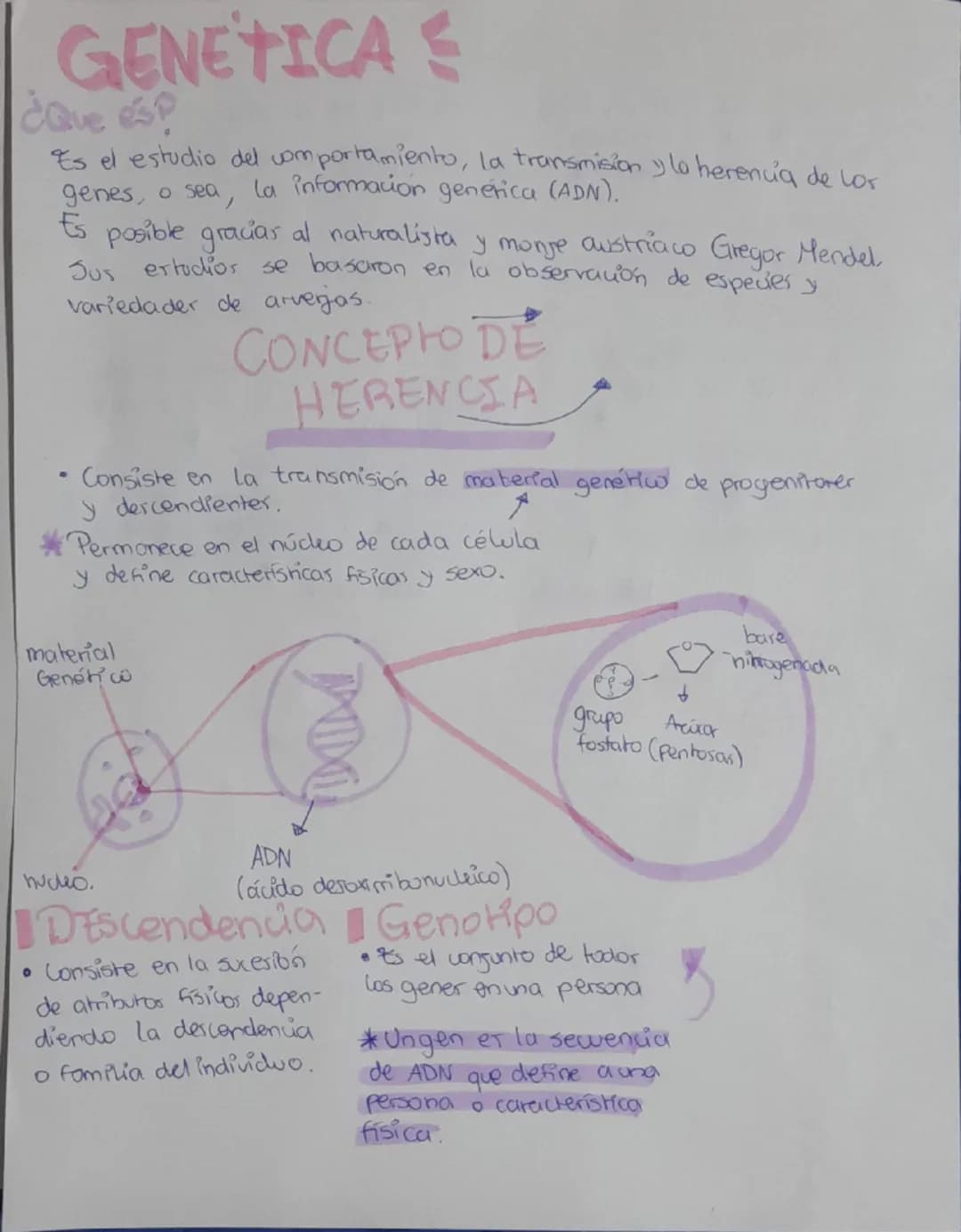 GENETICA S
¿Que es?
Es el estudio del comportamiento, la transmision y la herencia de los
genes, o sea, la información genética (ADN).
Es po