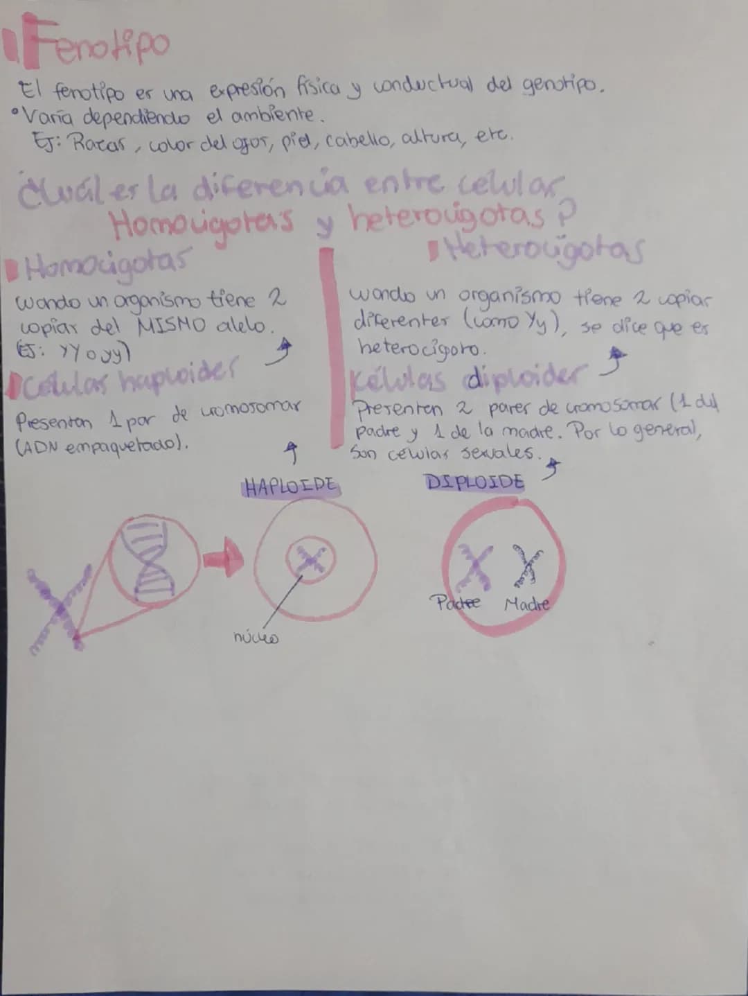 GENETICA S
¿Que es?
Es el estudio del comportamiento, la transmision y la herencia de los
genes, o sea, la información genética (ADN).
Es po