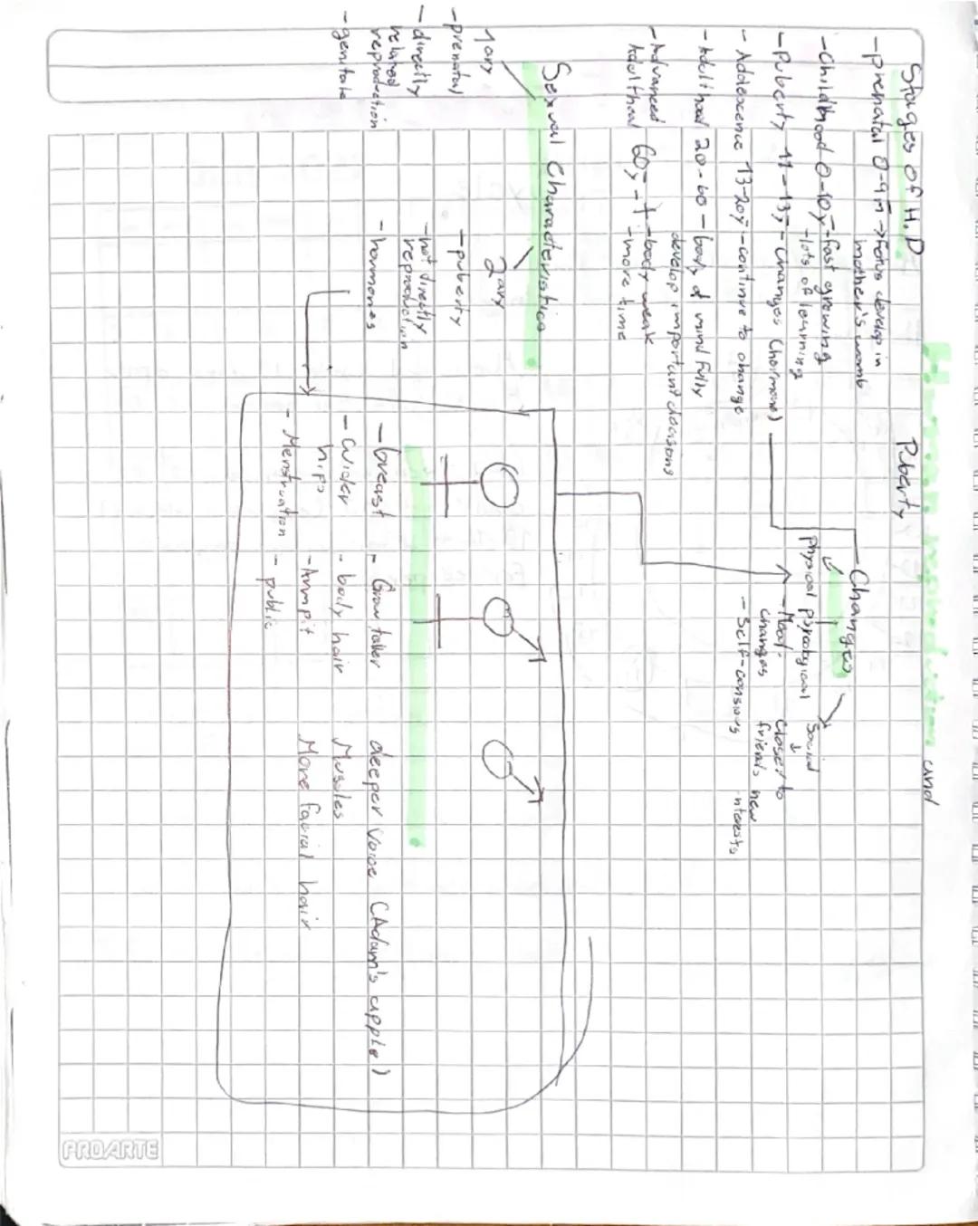 # Puberty

Stage of human development in which
Secondary sexual caracteristics develop due
to increase of hormones

It is a stage of big cha