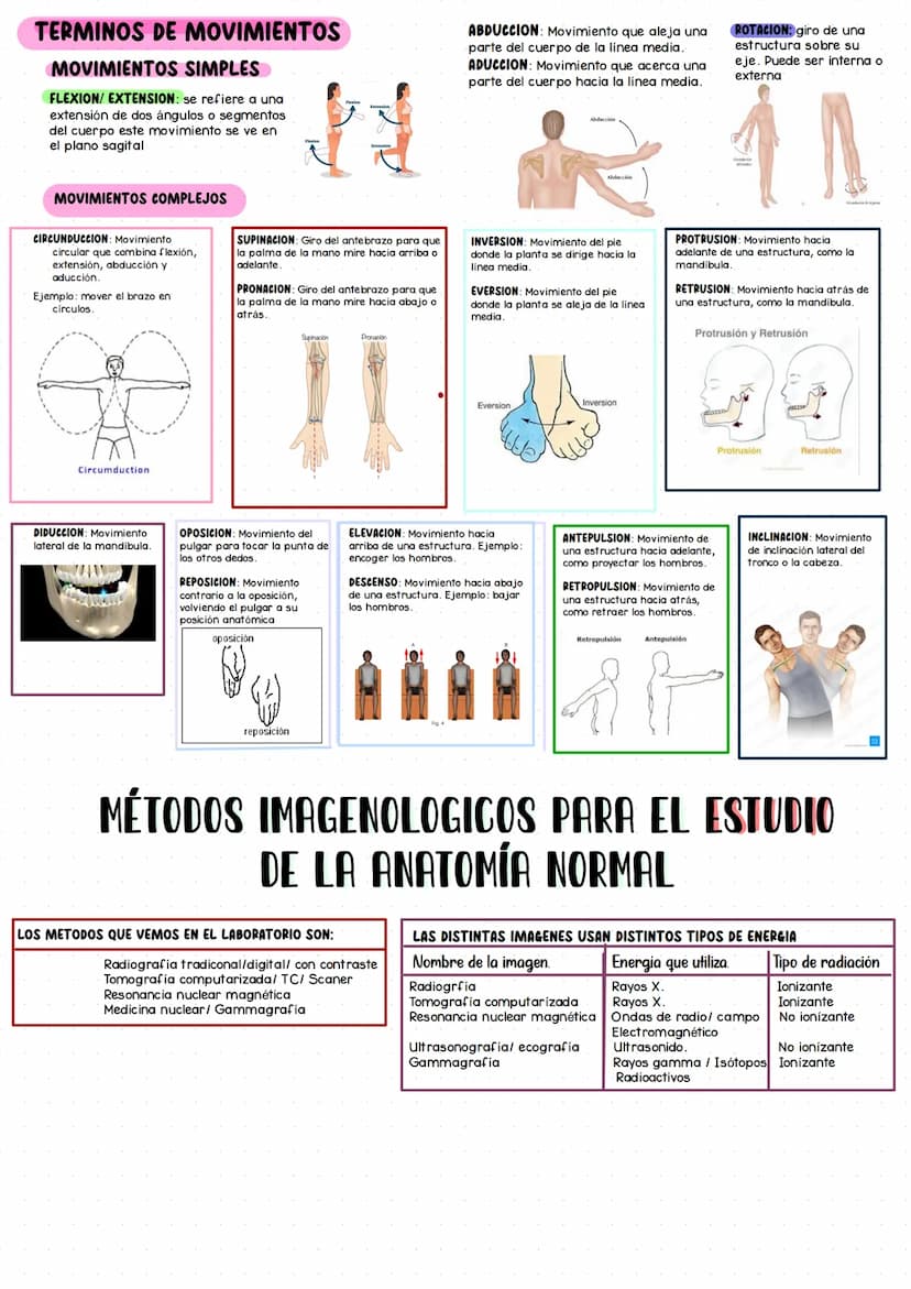 --- OCR Start ---
Generalidades de Anatomia
Anatomia es una rama de las ciencias naturales que tiene que ver con la estructura
Macroscópica: