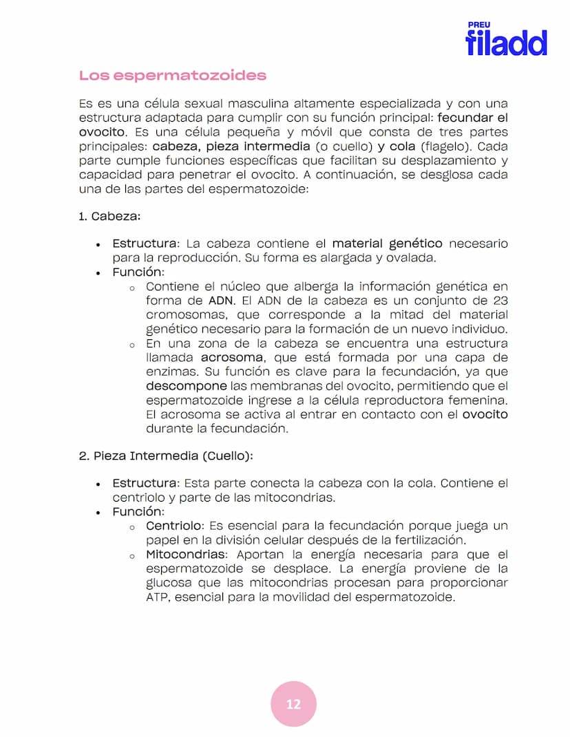BIOLOGÍA
Sexualidad humana
EJE 2
GUÍA
TEÓRICA
Preu Filadd @filadd.cl@filadd.cl
PREU
filadd Aspectos generales de la
reproducción
PREU
filadd