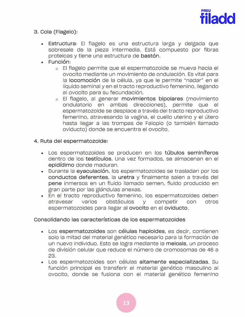 BIOLOGÍA
Sexualidad humana
EJE 2
GUÍA
TEÓRICA
Preu Filadd @filadd.cl@filadd.cl
PREU
filadd Aspectos generales de la
reproducción
PREU
filadd