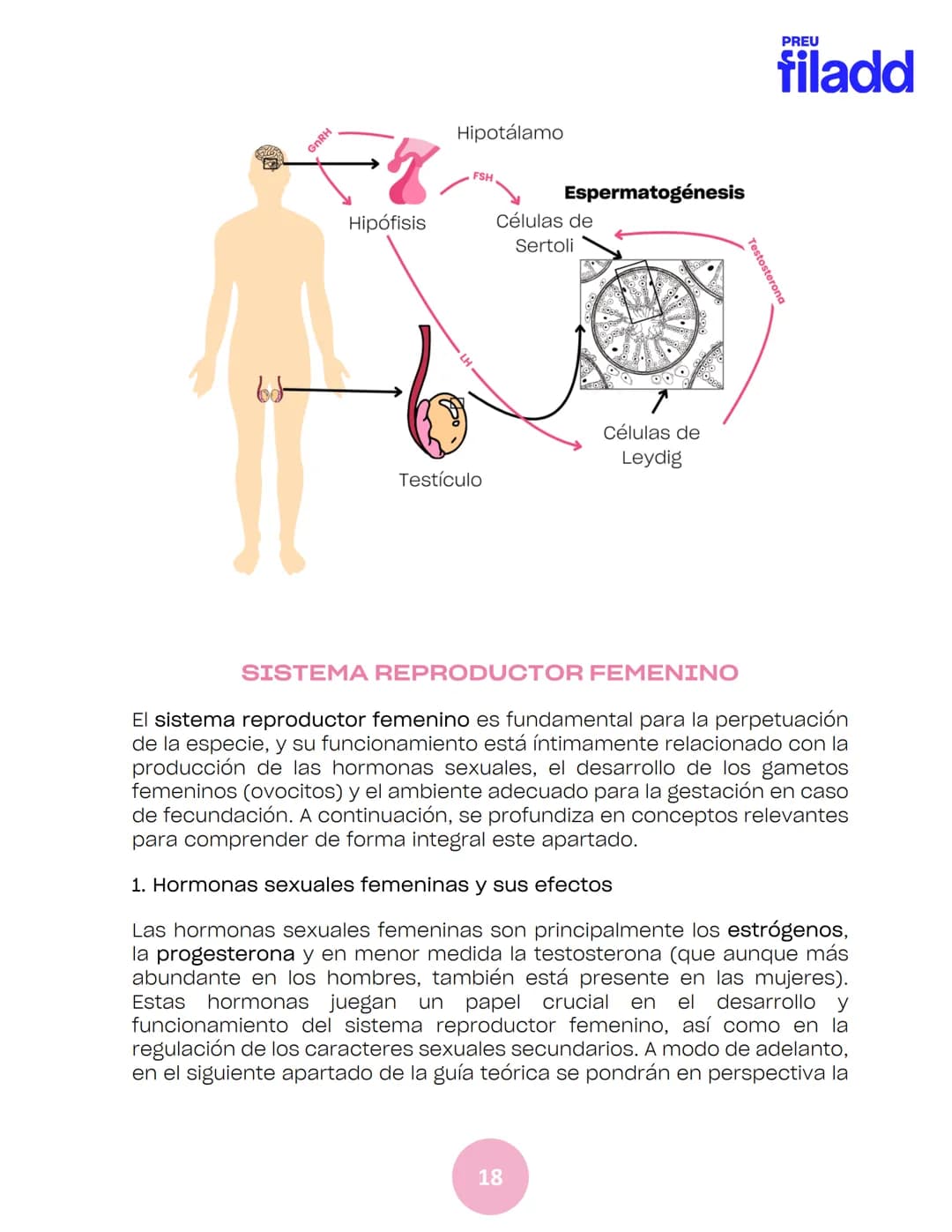 BIOLOGÍA
Sexualidad humana
EJE 2
GUÍA
TEÓRICA
Preu Filadd @filadd.cl@filadd.cl
PREU
filadd Aspectos generales de la
reproducción
PREU
filadd