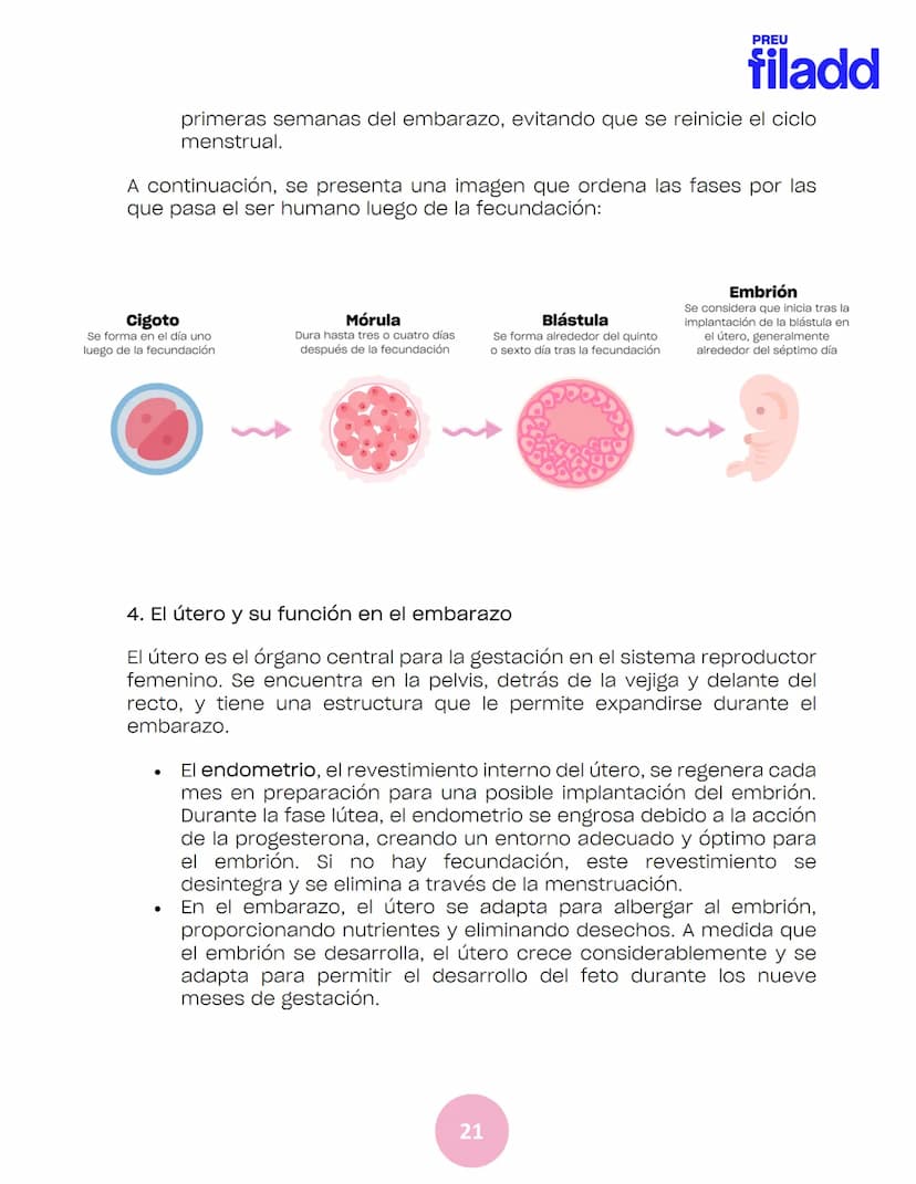 BIOLOGÍA
Sexualidad humana
EJE 2
GUÍA
TEÓRICA
Preu Filadd @filadd.cl@filadd.cl
PREU
filadd Aspectos generales de la
reproducción
PREU
filadd