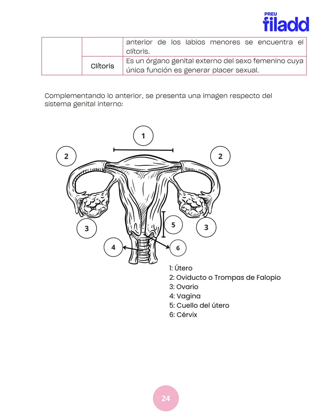 BIOLOGÍA
Sexualidad humana
EJE 2
GUÍA
TEÓRICA
Preu Filadd @filadd.cl@filadd.cl
PREU
filadd Aspectos generales de la
reproducción
PREU
filadd