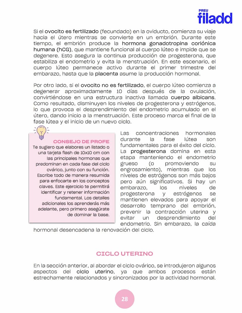 BIOLOGÍA
Sexualidad humana
EJE 2
GUÍA
TEÓRICA
Preu Filadd @filadd.cl@filadd.cl
PREU
filadd Aspectos generales de la
reproducción
PREU
filadd