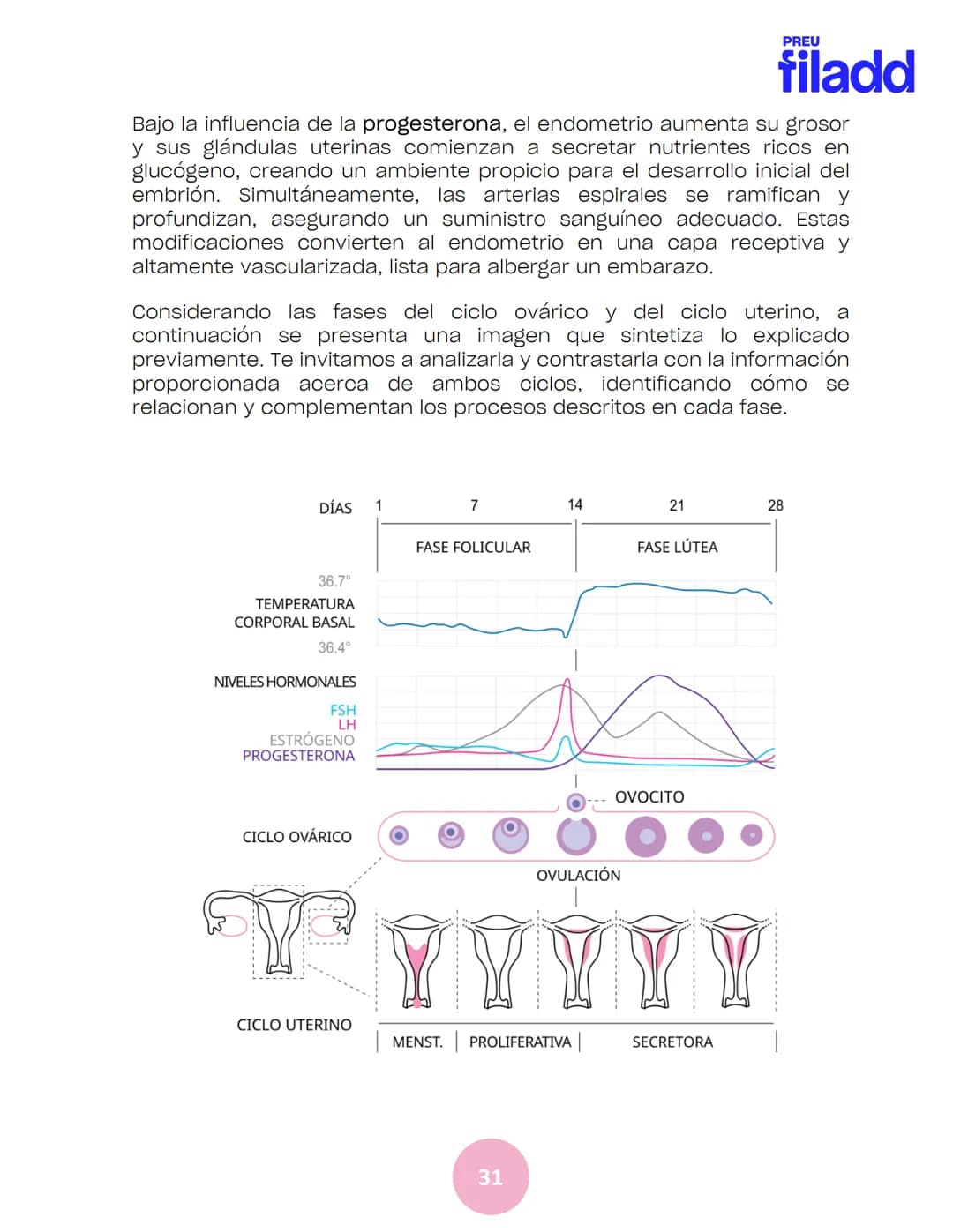 BIOLOGÍA
Sexualidad humana
EJE 2
GUÍA
TEÓRICA
Preu Filadd @filadd.cl@filadd.cl
PREU
filadd Aspectos generales de la
reproducción
PREU
filadd