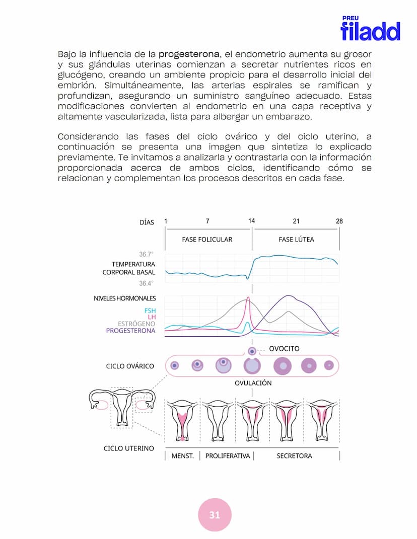 BIOLOGÍA
Sexualidad humana
EJE 2
GUÍA
TEÓRICA
Preu Filadd @filadd.cl@filadd.cl
PREU
filadd Aspectos generales de la
reproducción
PREU
filadd