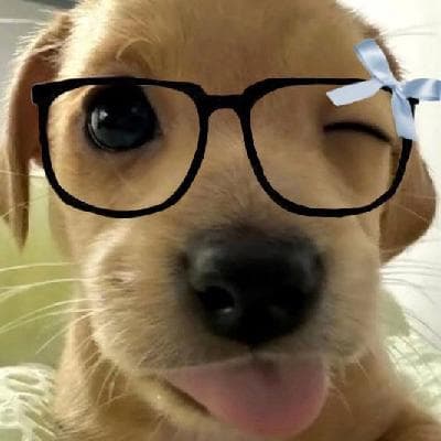 user profile picture