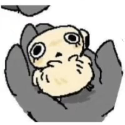user profile picture