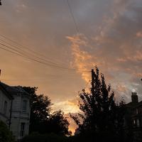 user profile picture