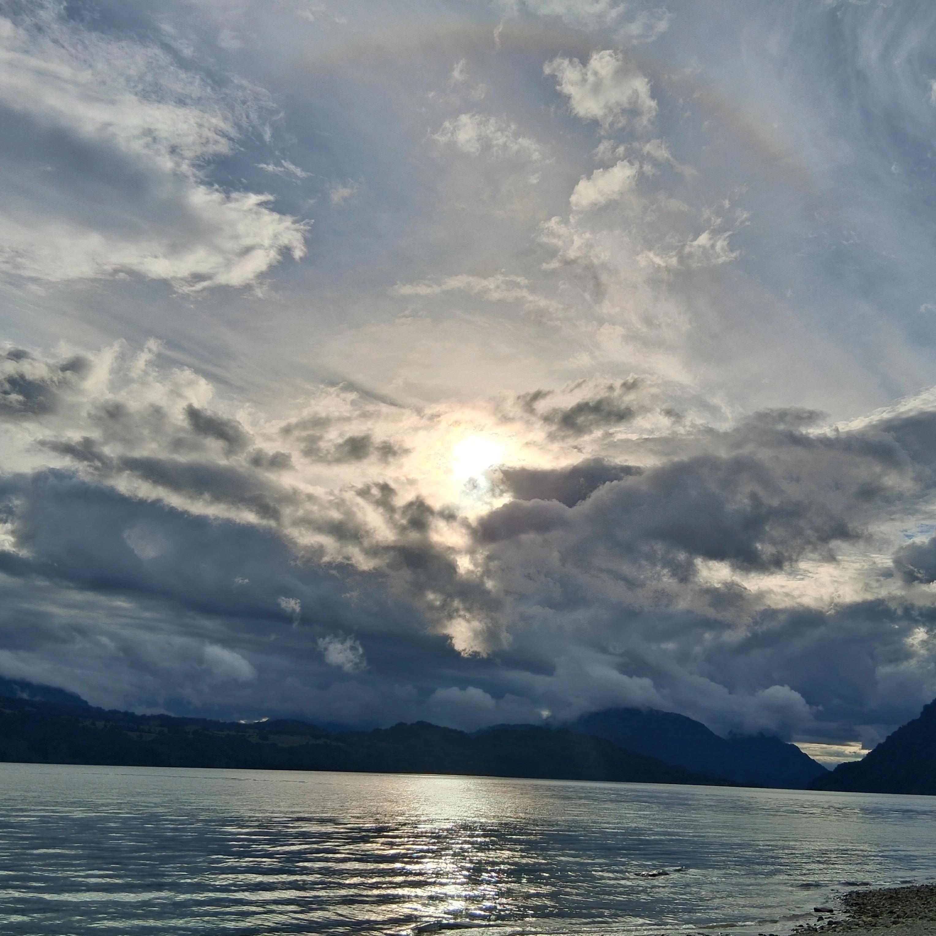 user profile picture