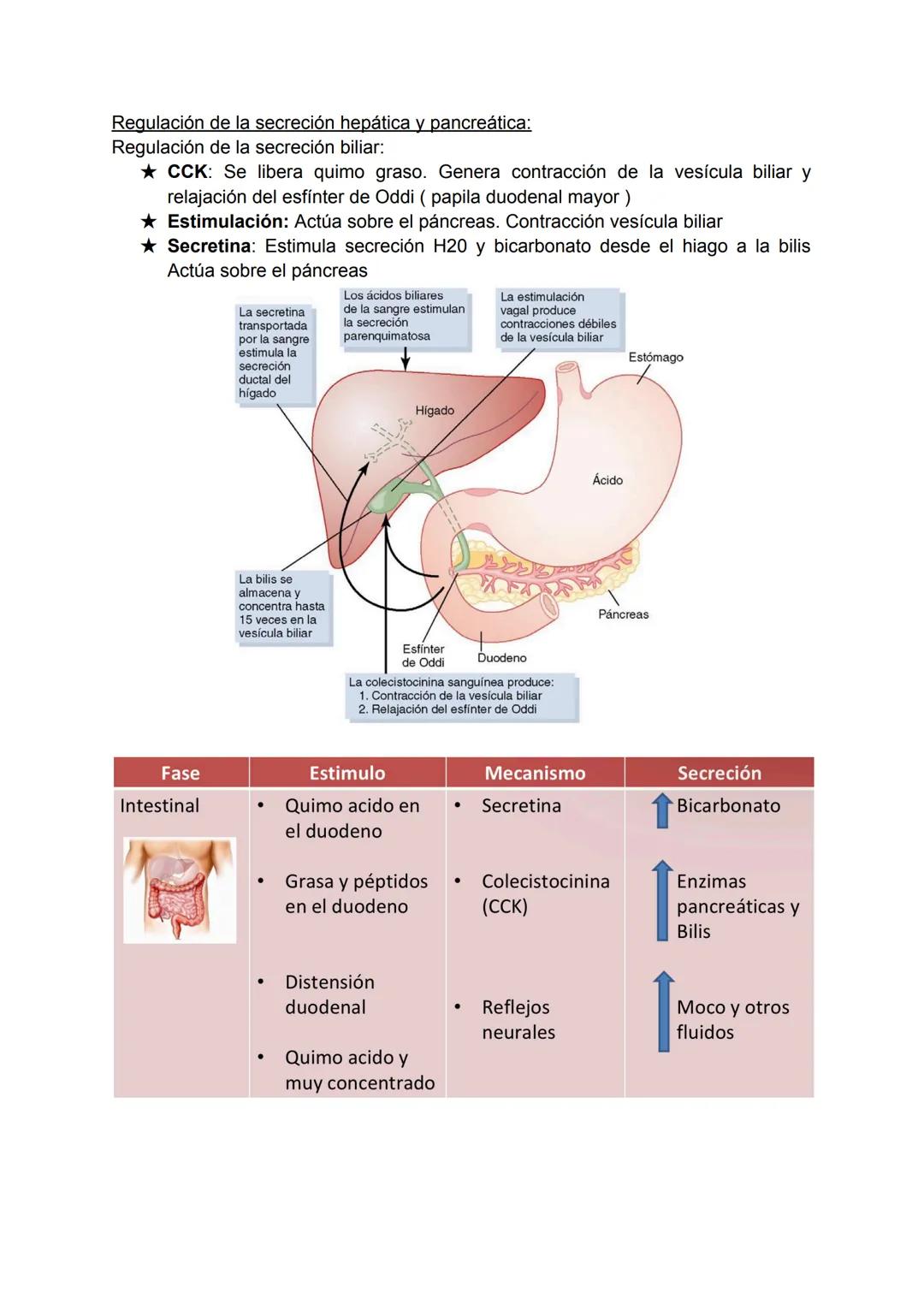 # SISTEMA DIGESTIVO
★ El organismo necesita nutrientes para la síntesis de los componentes de sus
estructuras biológicas como también para