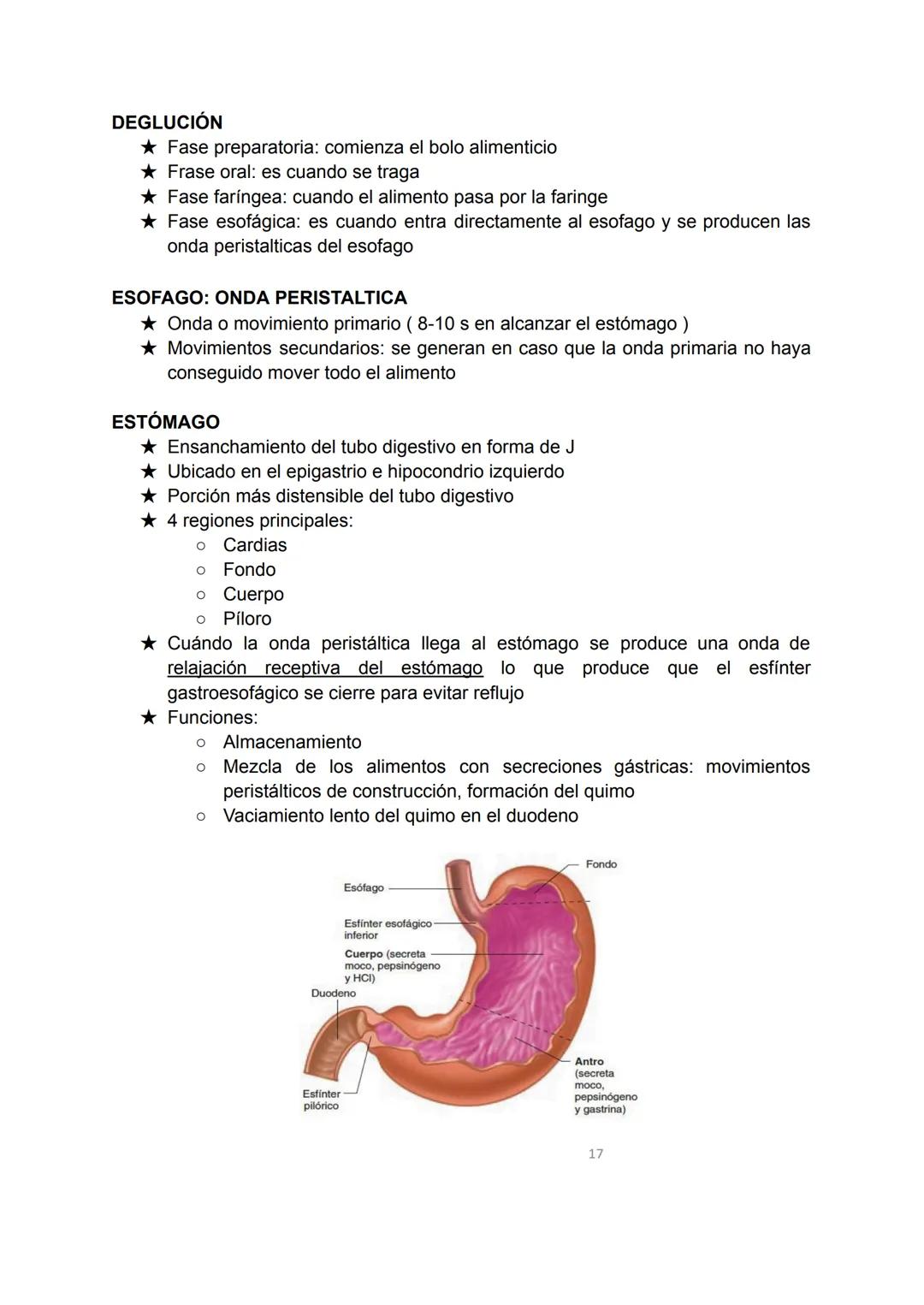 # SISTEMA DIGESTIVO
★ El organismo necesita nutrientes para la síntesis de los componentes de sus
estructuras biológicas como también para