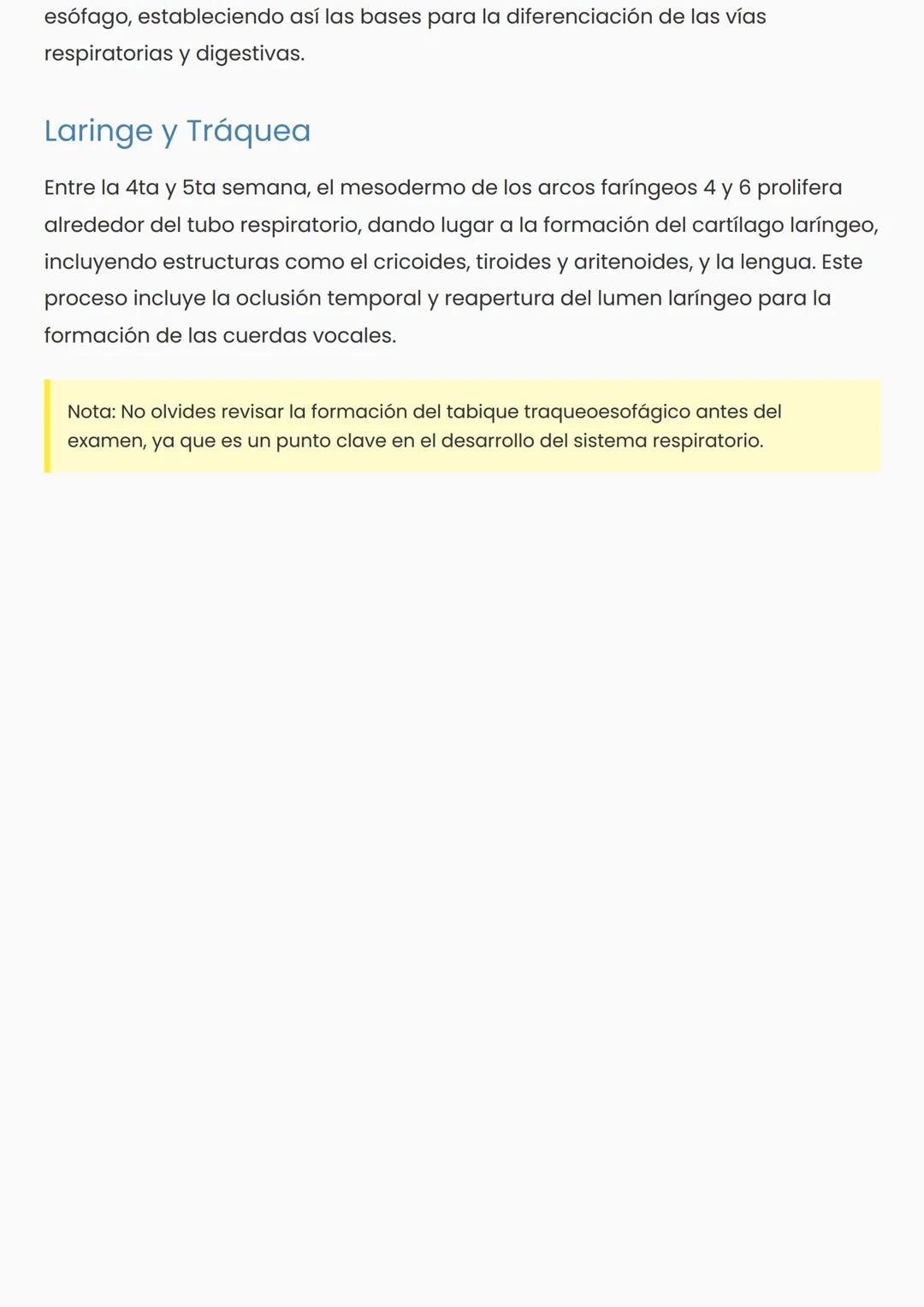 # Desarrollo del Aparato Respiratorio
Aspectos Generales
El desarrollo del aparato respiratorio humano es un proceso complejo que
abarca d