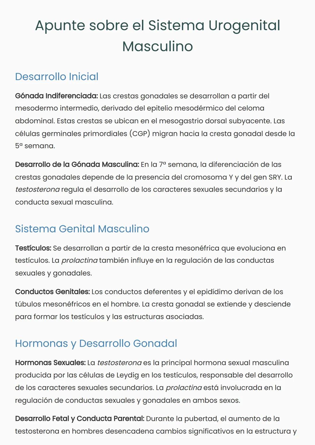 # Apunte sobre el Sistema Urogenital
Masculino
## Desarrollo Inicial
Gónada Indiferenciada: Las crestas gonadales se desarrollan a partir