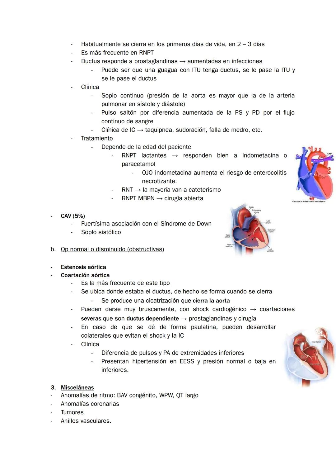 Homúnculo Hospitalizados
REVISITED y complementado
*estudio durante 7 minutazos*
yo:
¿Me acuesto?
por Homúnculo girls * Indice
1. Bronquioli