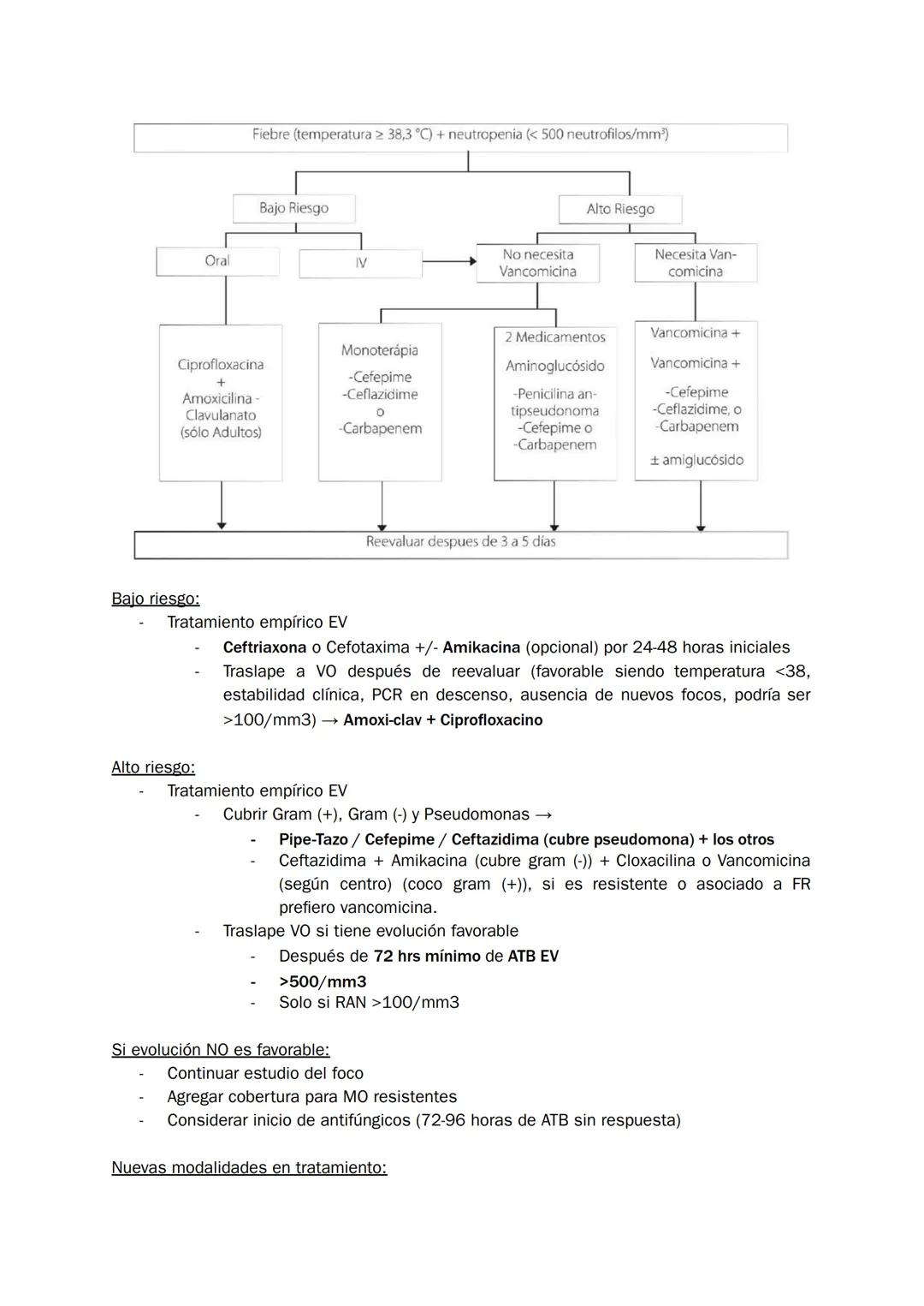 Homúnculo Hospitalizados
REVISITED y complementado
*estudio durante 7 minutazos*
yo:
¿Me acuesto?
por Homúnculo girls * Indice
1. Bronquioli