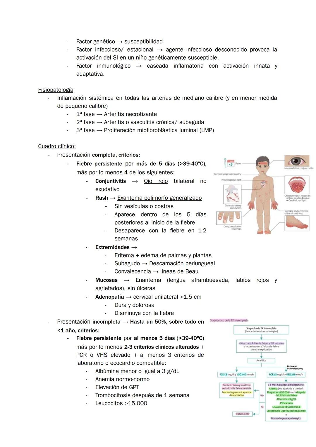 Homúnculo Hospitalizados
REVISITED y complementado
*estudio durante 7 minutazos*
yo:
¿Me acuesto?
por Homúnculo girls * Indice
1. Bronquioli