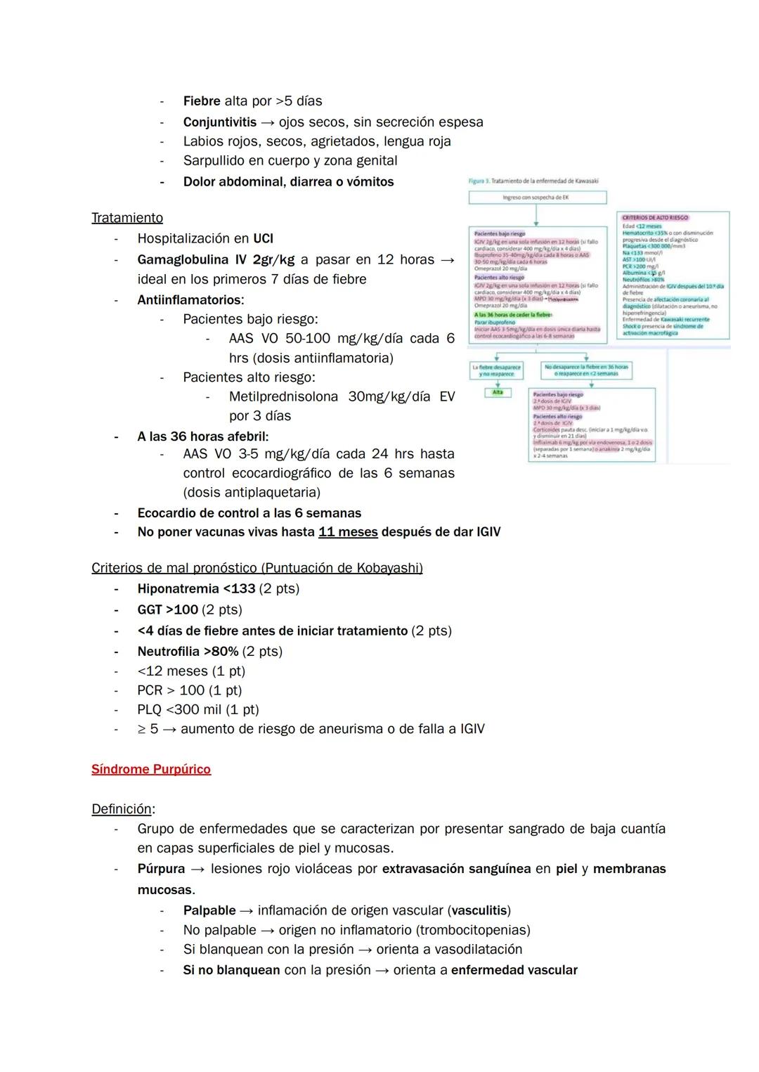 Homúnculo Hospitalizados
REVISITED y complementado
*estudio durante 7 minutazos*
yo:
¿Me acuesto?
por Homúnculo girls * Indice
1. Bronquioli