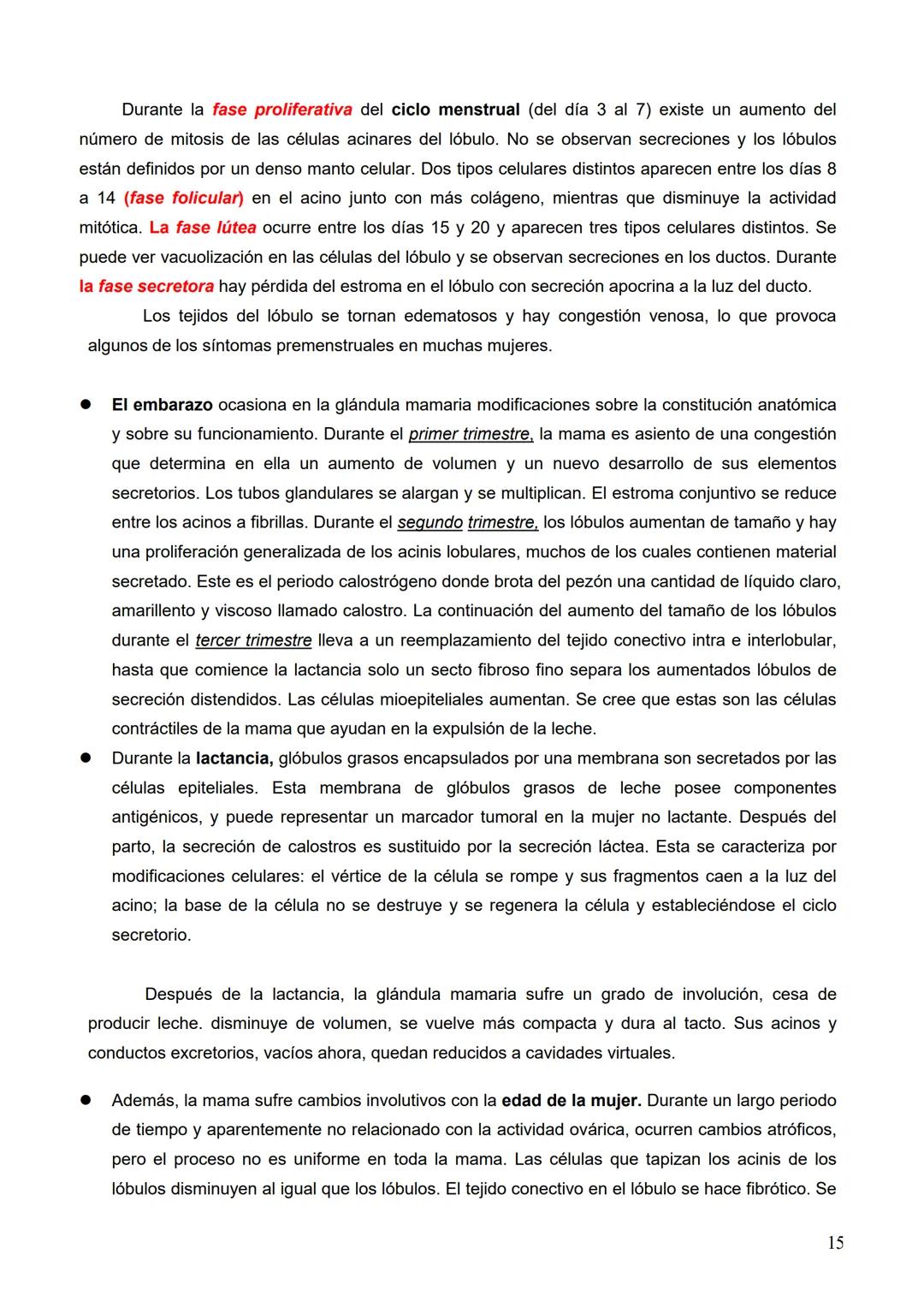 # ONCOLOGIA
4 --- OCR Start ---
Maturín, 24 de enero de 2024.
Oncologia básica.
Clase
Es el estudio de los tumores o neoplasias.
• Tumor: h
