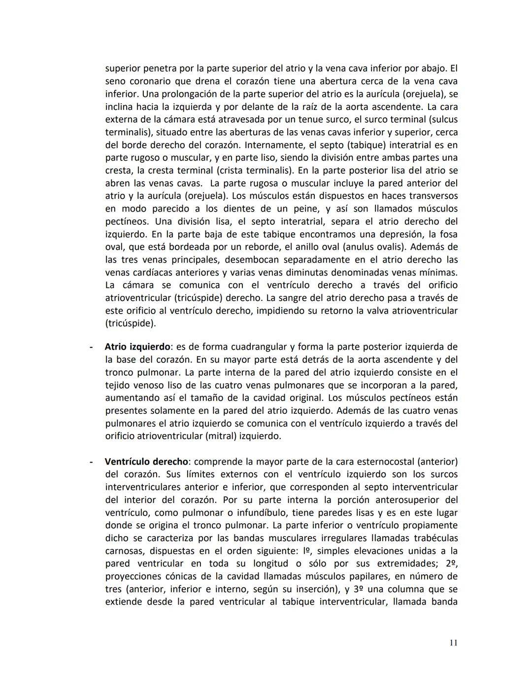 # Clínica Alemana - Universidad del Desarrollo
# Facultad de Medicina
# Departamento de Morfología
# APUNTE DE ANATOMÍA
# SISTEMA CARDIOVAS