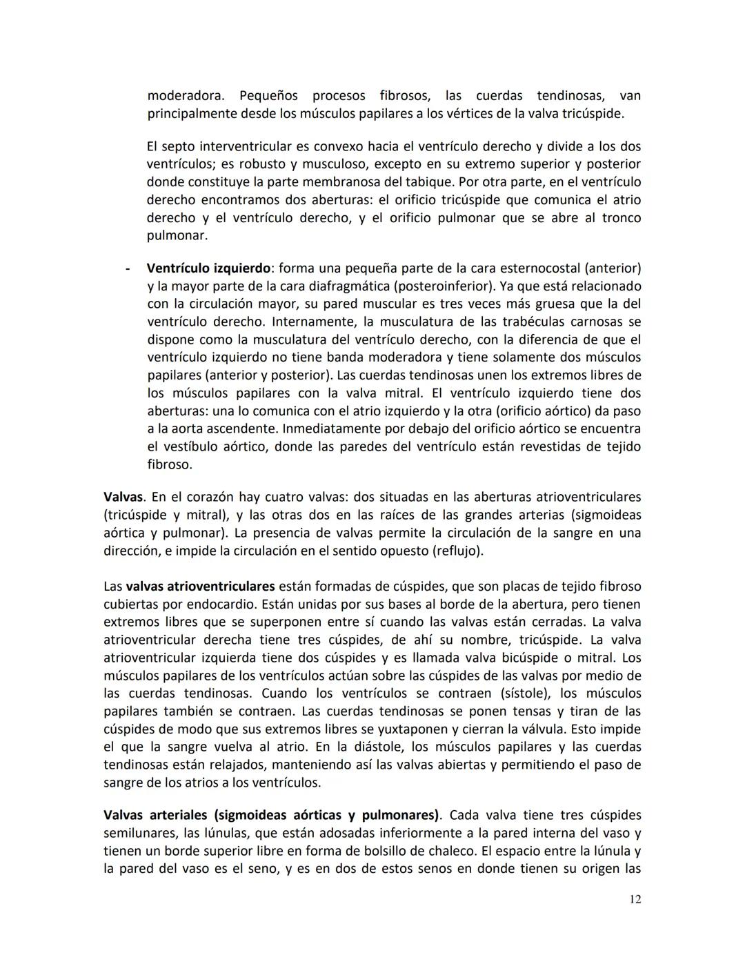 # Clínica Alemana - Universidad del Desarrollo
# Facultad de Medicina
# Departamento de Morfología
# APUNTE DE ANATOMÍA
# SISTEMA CARDIOVAS
