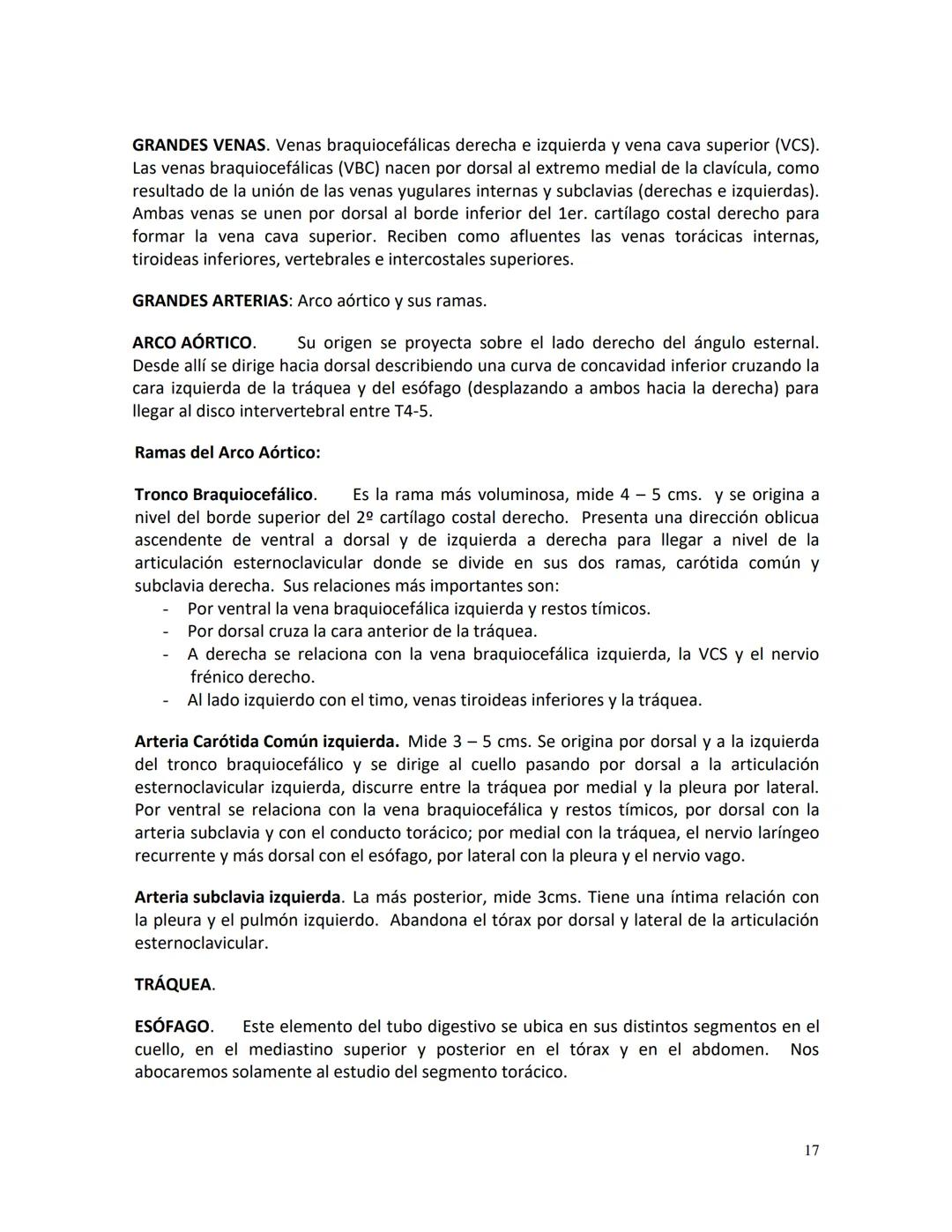 # Clínica Alemana - Universidad del Desarrollo
# Facultad de Medicina
# Departamento de Morfología
# APUNTE DE ANATOMÍA
# SISTEMA CARDIOVAS