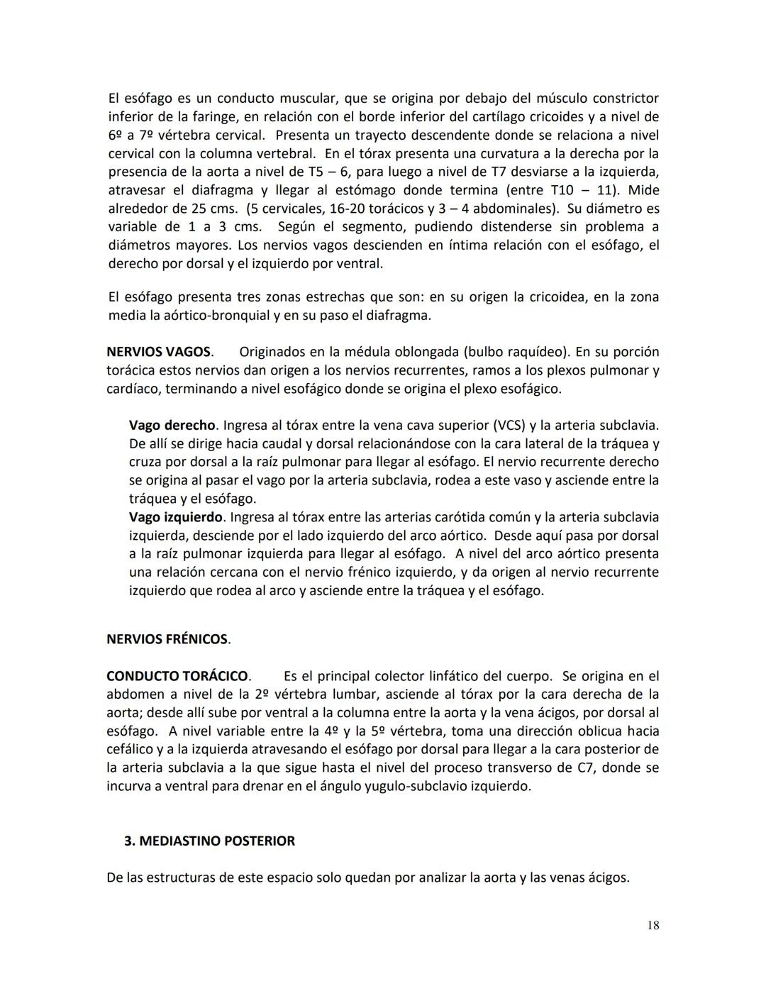 # Clínica Alemana - Universidad del Desarrollo
# Facultad de Medicina
# Departamento de Morfología
# APUNTE DE ANATOMÍA
# SISTEMA CARDIOVAS