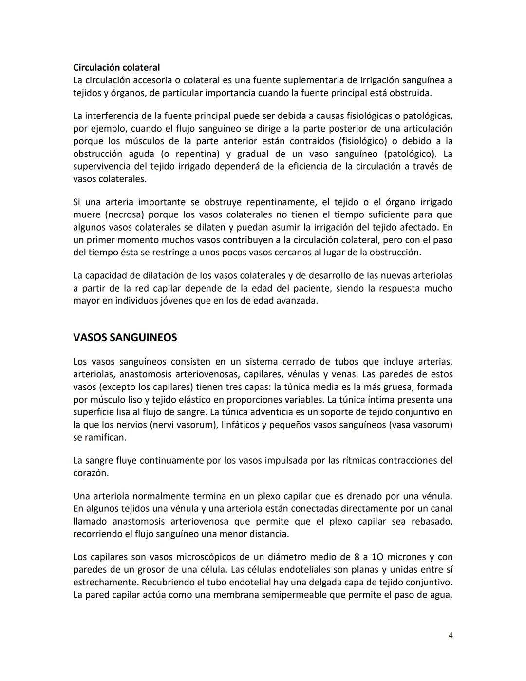 # Clínica Alemana - Universidad del Desarrollo
# Facultad de Medicina
# Departamento de Morfología
# APUNTE DE ANATOMÍA
# SISTEMA CARDIOVAS
