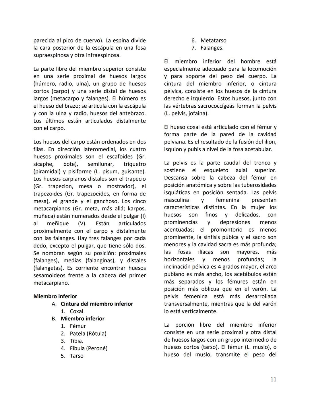 Facultad de Medicina
Clínica Alemana - Universidad del Desarrollo
ΑΝΑΤΟΜIA NORMAL
ΑΝΑΤΟΜIA HUMANA
Generalidades
Prof. Dr. Renato Acuña L.