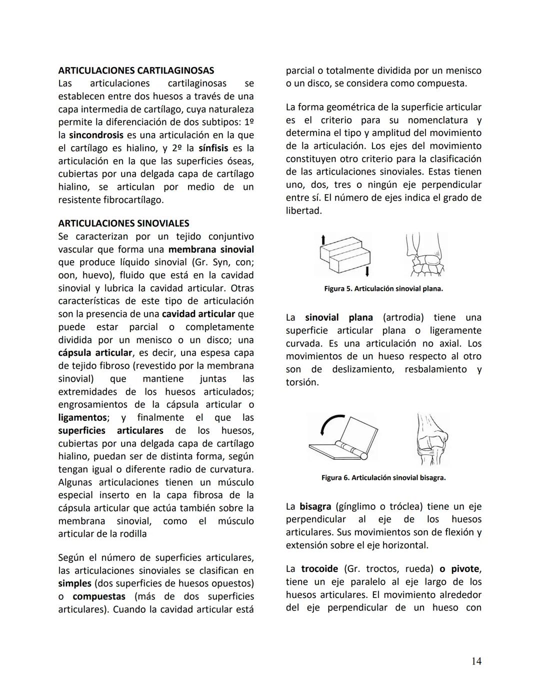 Facultad de Medicina
Clínica Alemana - Universidad del Desarrollo
ΑΝΑΤΟΜIA NORMAL
ΑΝΑΤΟΜIA HUMANA
Generalidades
Prof. Dr. Renato Acuña L.