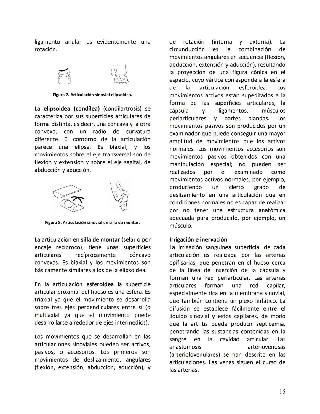 Facultad de Medicina
Clínica Alemana - Universidad del Desarrollo
ΑΝΑΤΟΜIA NORMAL
ΑΝΑΤΟΜIA HUMANA
Generalidades
Prof. Dr. Renato Acuña L.