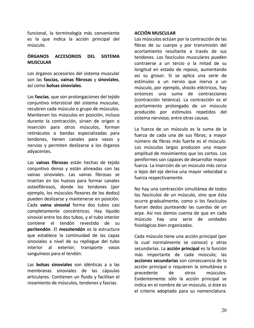 Facultad de Medicina
Clínica Alemana - Universidad del Desarrollo
ΑΝΑΤΟΜIA NORMAL
ΑΝΑΤΟΜIA HUMANA
Generalidades
Prof. Dr. Renato Acuña L.
