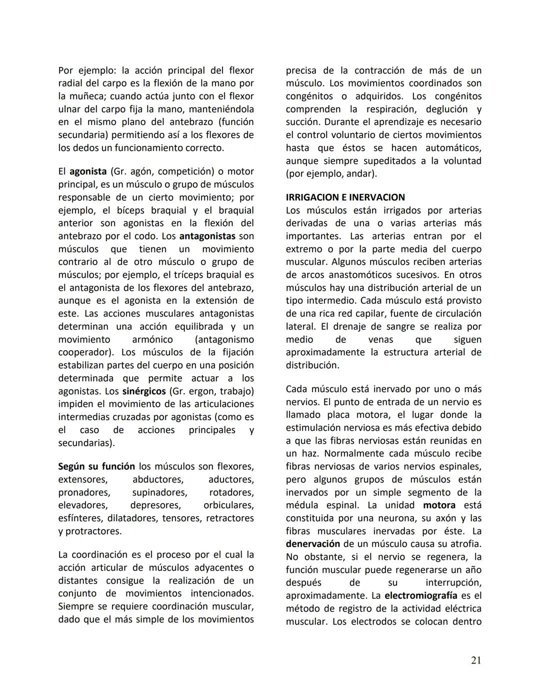 Facultad de Medicina
Clínica Alemana - Universidad del Desarrollo
ΑΝΑΤΟΜIA NORMAL
ΑΝΑΤΟΜIA HUMANA
Generalidades
Prof. Dr. Renato Acuña L.