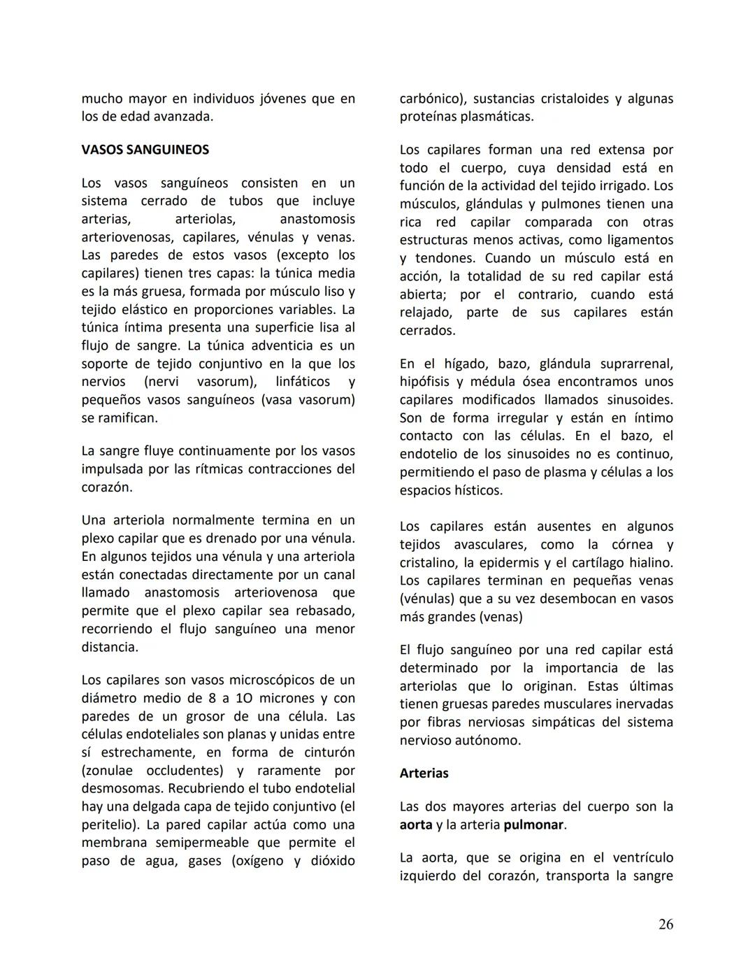 Facultad de Medicina
Clínica Alemana - Universidad del Desarrollo
ΑΝΑΤΟΜIA NORMAL
ΑΝΑΤΟΜIA HUMANA
Generalidades
Prof. Dr. Renato Acuña L.